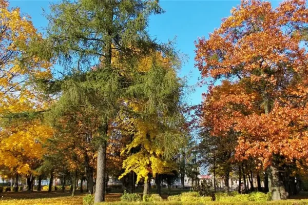 II Zjazd Rodów Grodzieńskich w Wasilkowie – spotkanie z historią Kresów