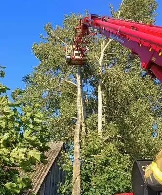Konar drzewa nad jezdnią w Słomiance – interwencja strażaków