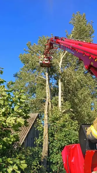 Konar drzewa nad jezdnią w Słomiance – interwencja strażaków