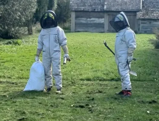 Interwencja OSP w Trofimówce: usunięto gniazdo owadów błonkoskrzydłych
