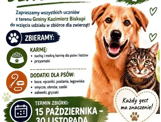 Zbiórka dla zwierząt w Gminie Kazimierz Biskupi – pomóż bezdomnym psom i kotom