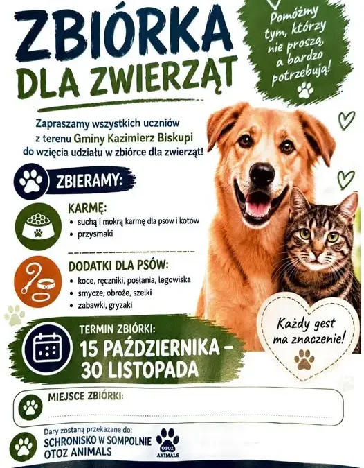 Zbiórka dla zwierząt w Gminie Kazimierz Biskupi – pomóż bezdomnym psom i kotom