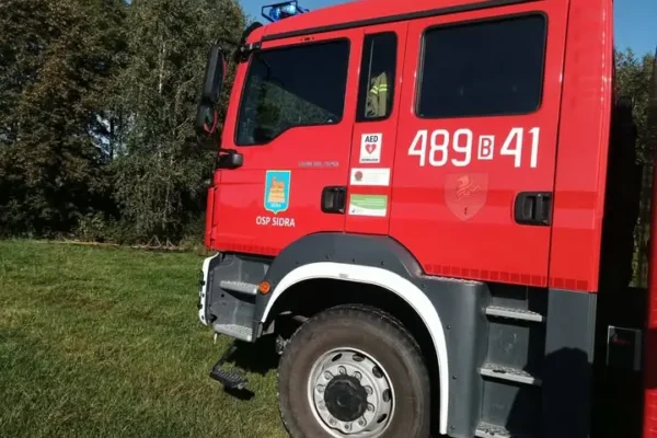 Owady błonkoskrzydłe w Juraszach – interwencja OSP Sidra