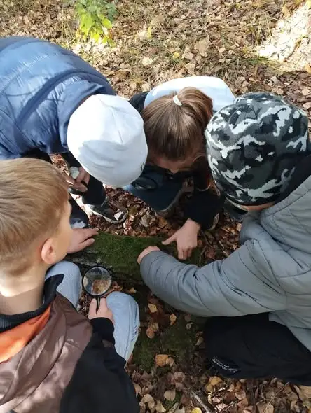 Pierwszaki odkrywały jesień w lesie – i pod mikroskopem